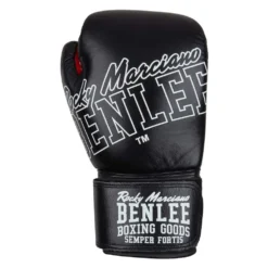Benlee Rockland Leather Boxing Gloves
