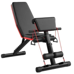 Multifunction Abdominal Bench