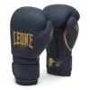 Blue Edition Combat Gloves