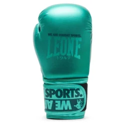 Shaded Artificial Leather Boxing Gloves
