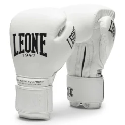 The Greatest Boxing Gloves
