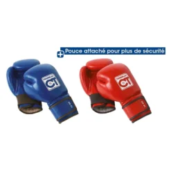 TREMBLAY Boxing Gloves (X2)