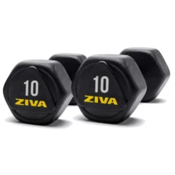Ziva Hexagonal Dumbbell 10Kg